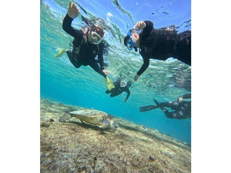 OCEAN LIFE のギャラリー