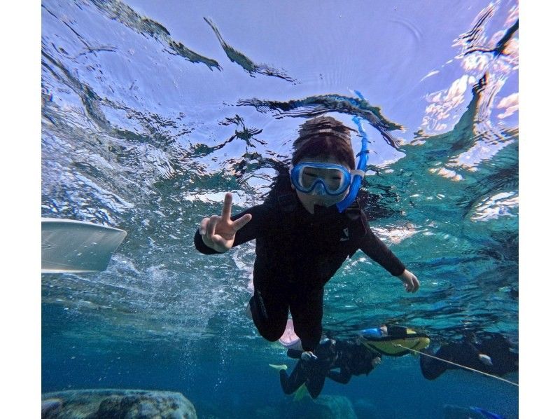 OCEAN LIFE のギャラリー