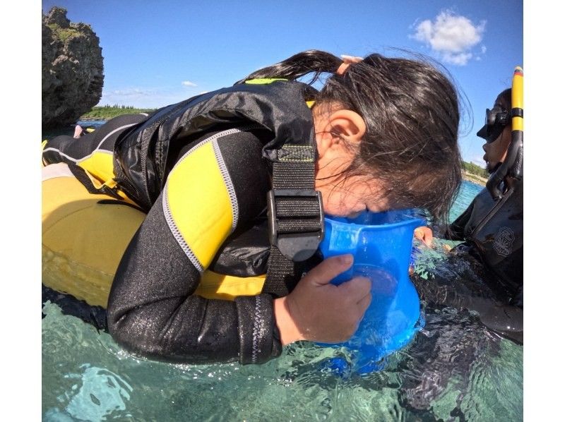 OCEAN LIFE のギャラリー