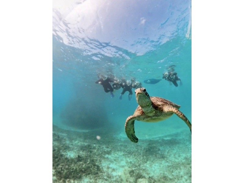 nico 宮古島 のギャラリー