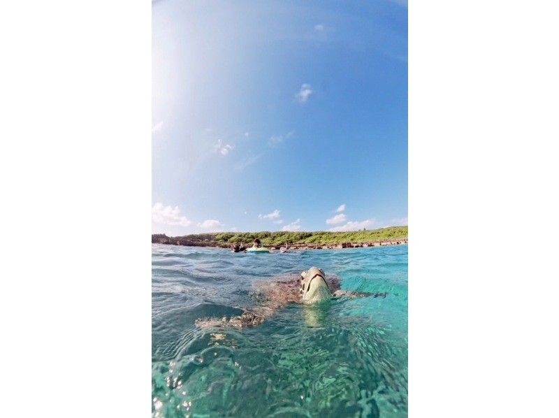 nico 宮古島 のギャラリー