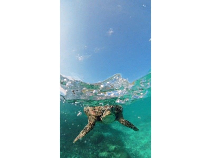 nico 宮古島 のギャラリー