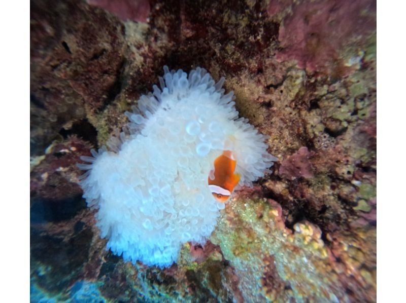 Bal field（バルフィールド） のギャラリー