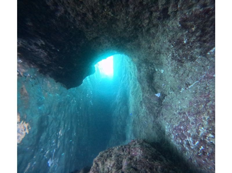 Bal field（バルフィールド） のギャラリー