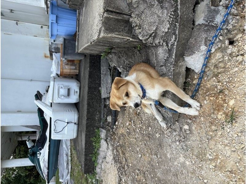 宮古島 ADVENTURE PiPi（ピピ） のギャラリー