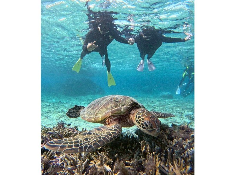 OCEAN LIFE のギャラリー