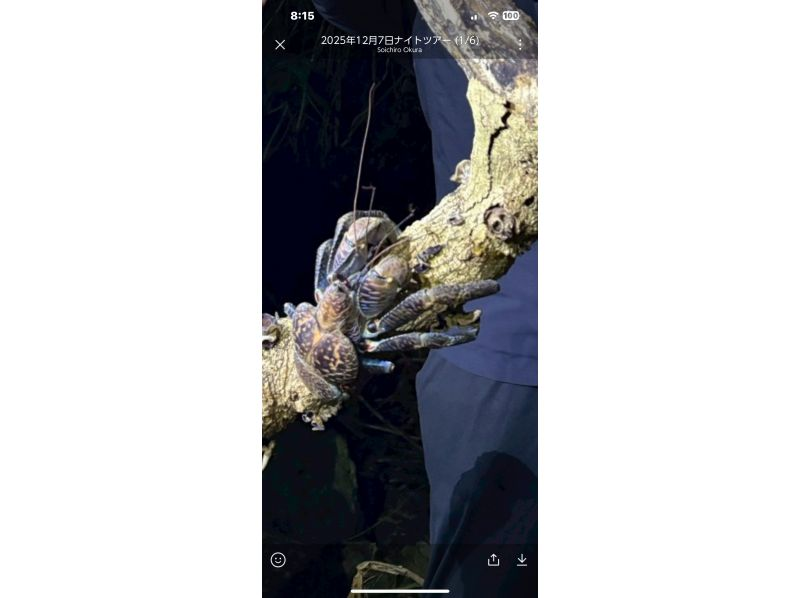 元気玉 のギャラリー