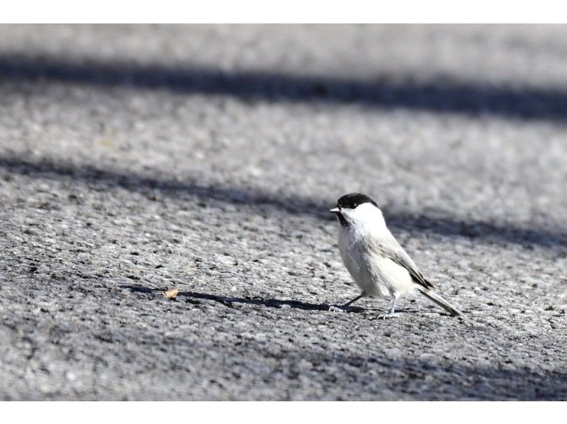 株式会社日光自然博物館 のギャラリー