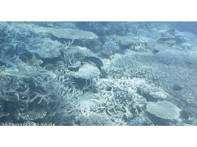 M.a.r.i.n.e Factory のギャラリー