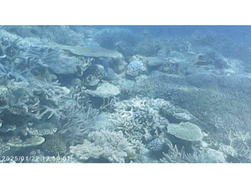 M.a.r.i.n.e Factory のギャラリー