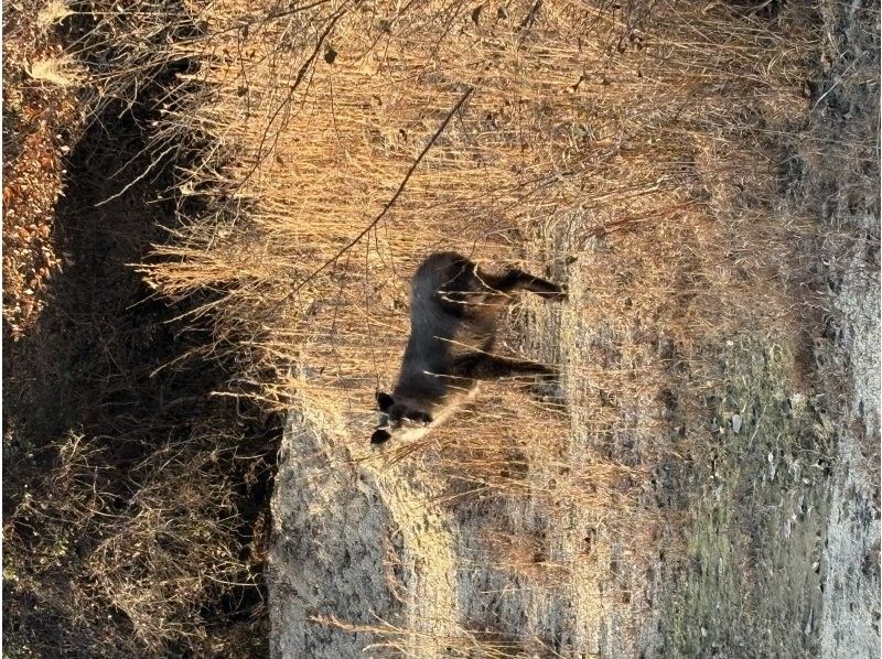 マウンテンマテリアルズ のギャラリー