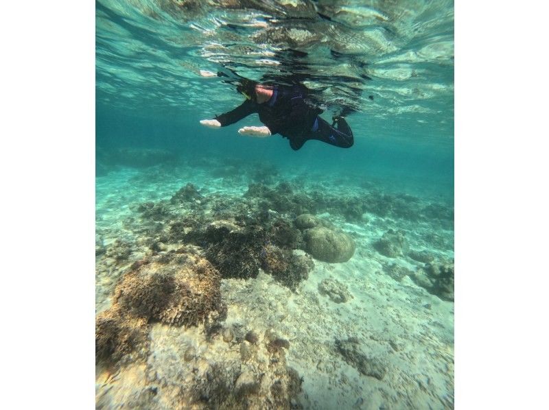 沖縄ダイビングショップシーモール のギャラリー