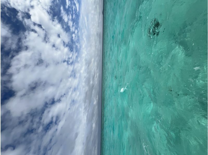 Blue Forest 宮古島(ブルーフォレスト) のギャラリー