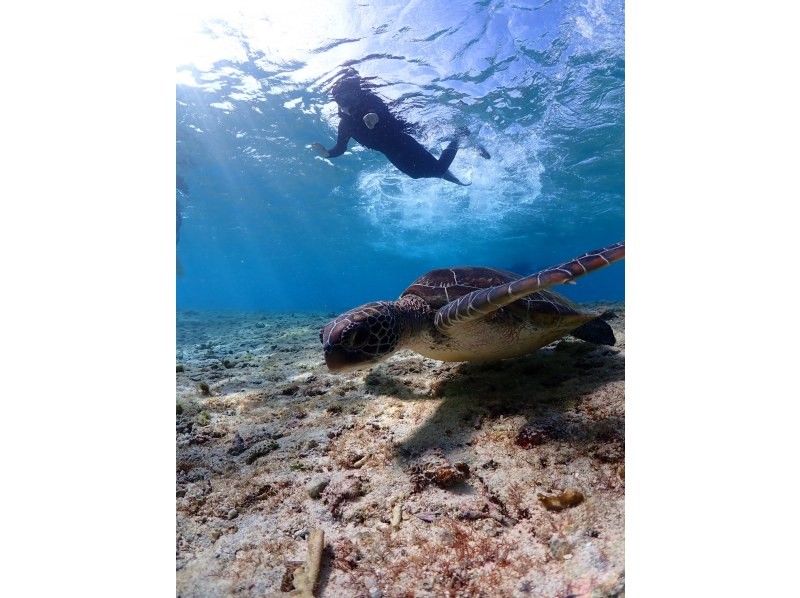 宮古島 ADVENTURE PiPi（ピピ） のギャラリー