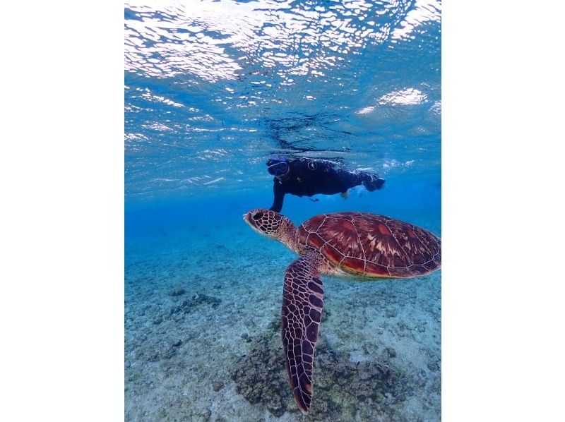 宮古島 ADVENTURE PiPi（ピピ） のギャラリー