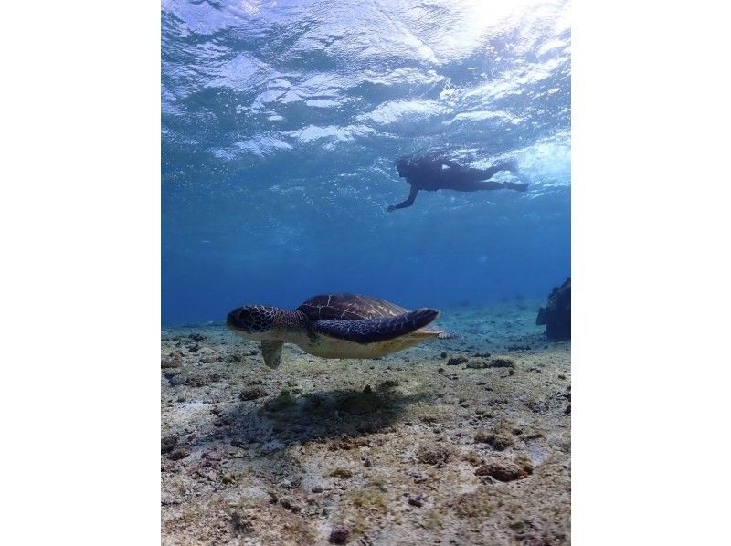 宮古島 ADVENTURE PiPi（ピピ） のギャラリー