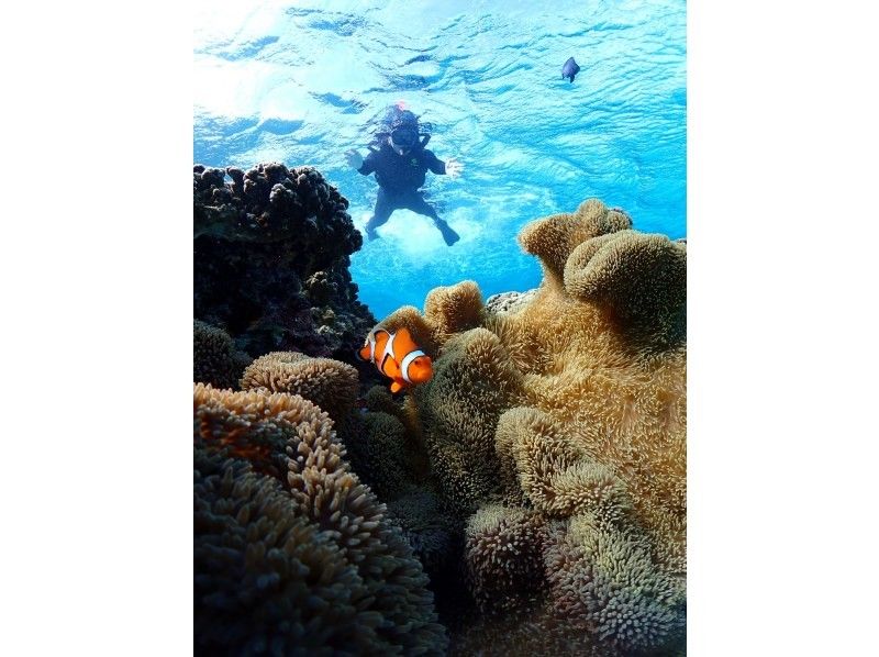 宮古島 ADVENTURE PiPi（ピピ） のギャラリー