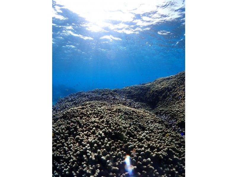 宮古島 ADVENTURE PiPi（ピピ） のギャラリー