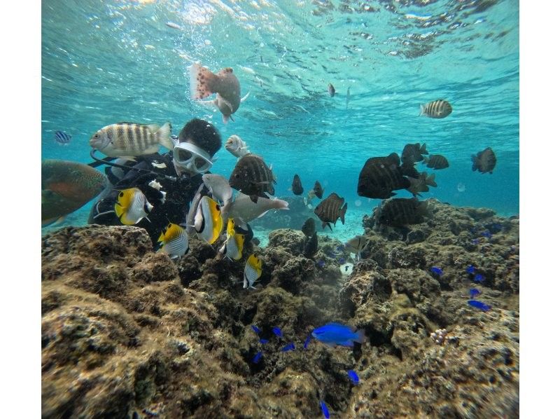 沖縄マリンサービス碧 のギャラリー