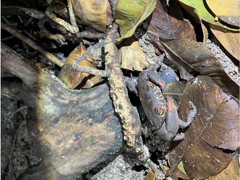 スターライフ石垣島 のギャラリー