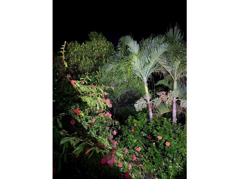 スターライフ石垣島 のギャラリー