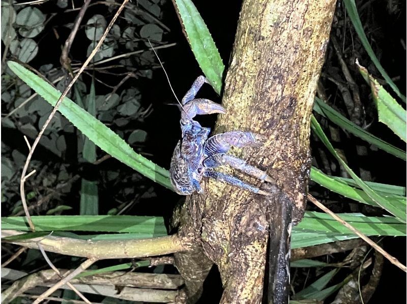 スターライフ石垣島 のギャラリー