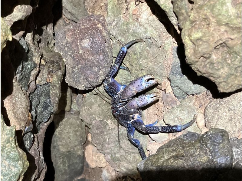 スターライフ石垣島 のギャラリー