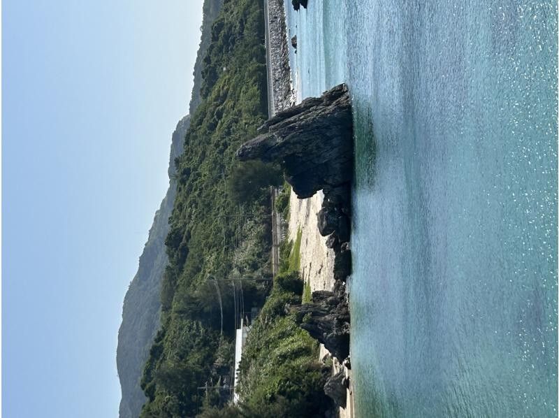 沖縄マリンサービスTI.OCEAN のギャラリー