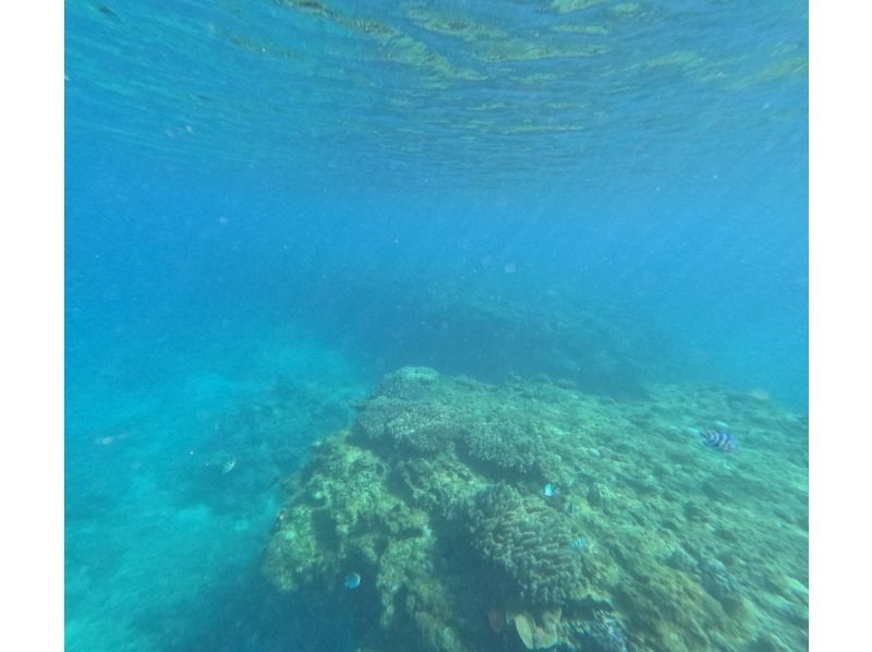 沖縄マリンサービスTI.OCEAN のギャラリー