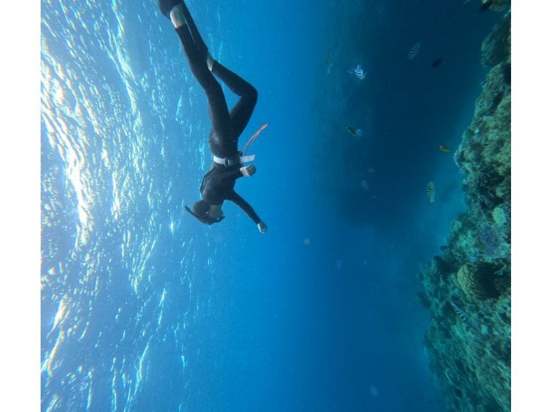 真心ダイバーズ のギャラリー