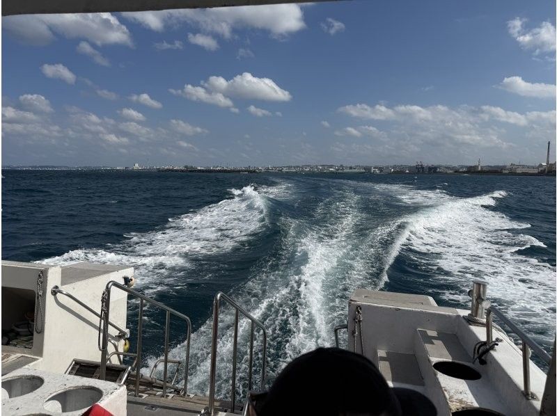 真心ダイバーズ のギャラリー