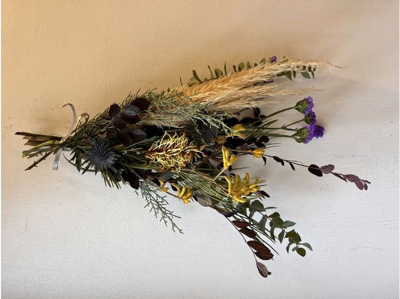 Apertio Floris のギャラリー