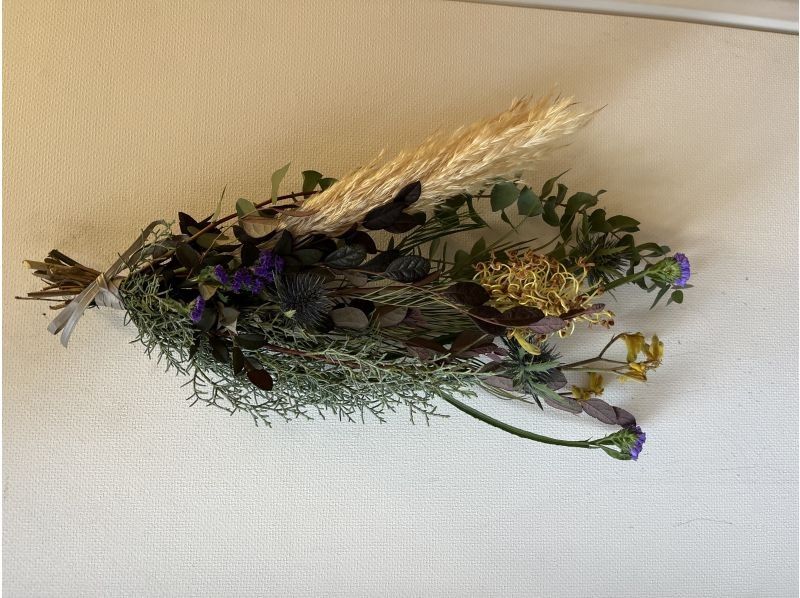 Apertio Floris のギャラリー