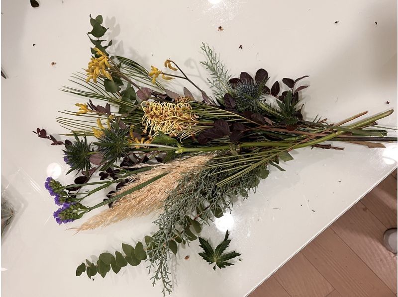 Apertio Floris のギャラリー