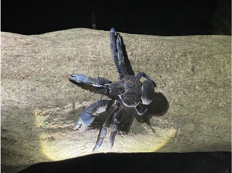 SUNSHINE MARIN 宮古島 のギャラリー