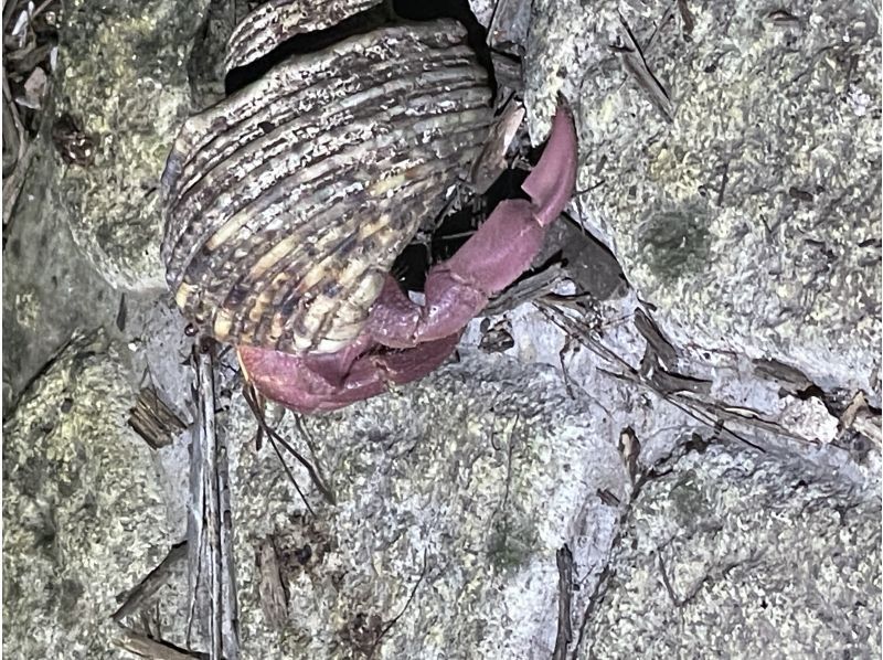 SUNSHINE MARIN 宮古島 のギャラリー