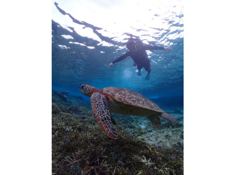 宮古島 ADVENTURE PiPi（ピピ） のギャラリー