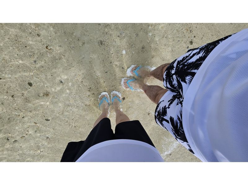 石垣島　ウミガメシュノーケル　マリンショップHAPPY のギャラリー