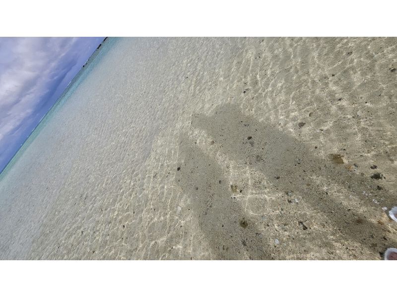 石垣島　ウミガメシュノーケル　マリンショップHAPPY のギャラリー