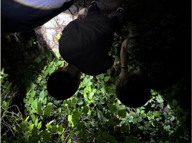 元気玉 のギャラリー