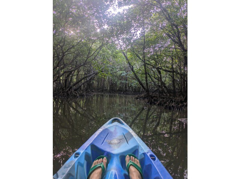 石垣島 海ツアー のギャラリー