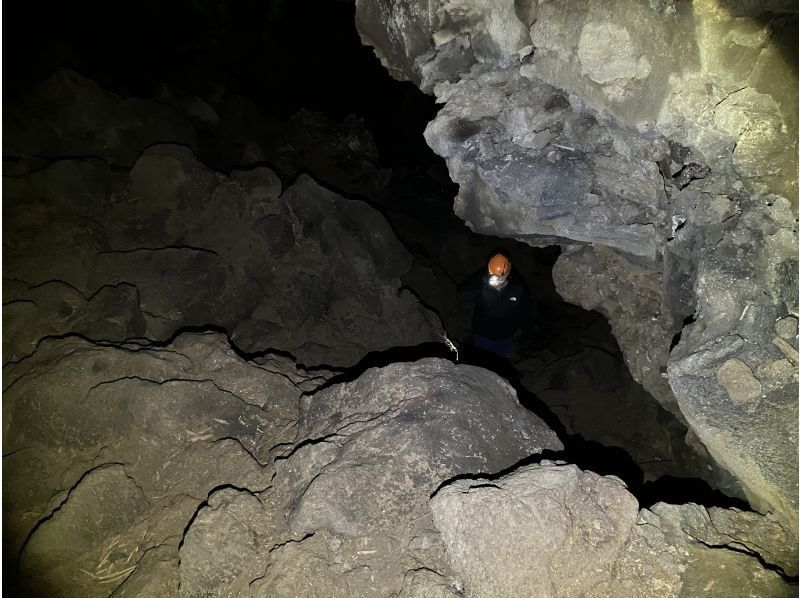 THE HIGHEST PEAK のギャラリー