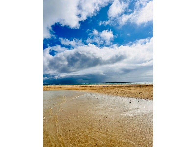 石垣島　ウミガメシュノーケル　マリンショップHAPPY のギャラリー