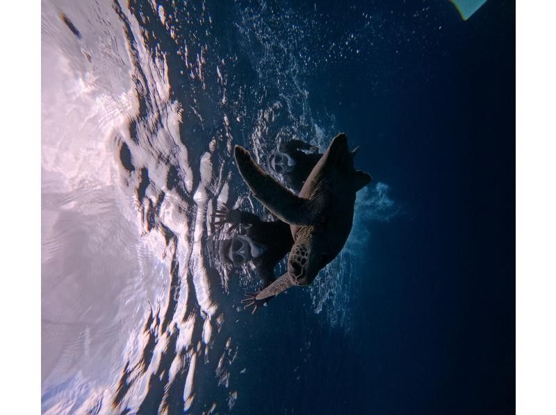 Tomorl のギャラリー