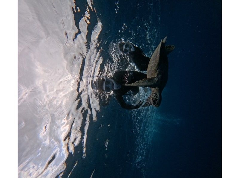 Tomorl のギャラリー