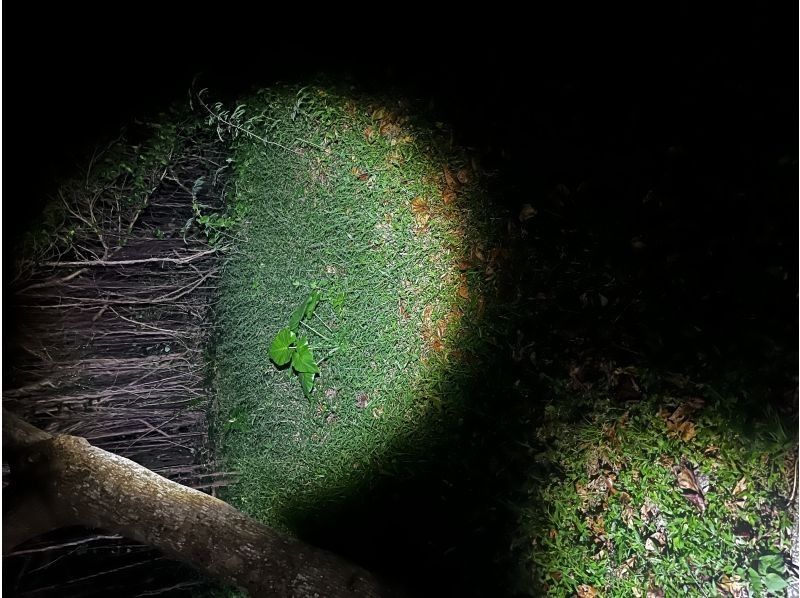 オースリーシュノーケル宮古島 のギャラリー