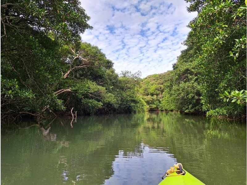 西表島カヌーツアー風車 のギャラリー