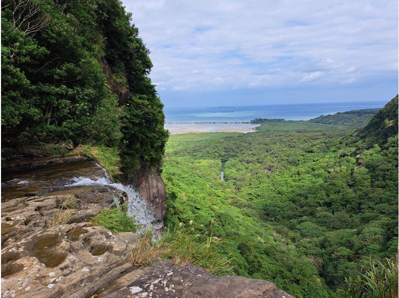 西表島カヌーツアー風車 のギャラリー