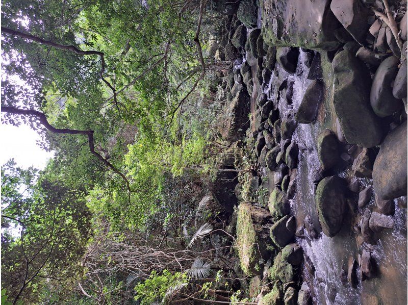 西表島カヌーツアー風車 のギャラリー