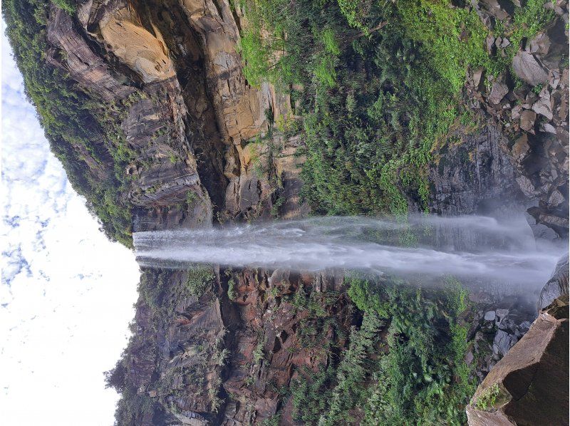 西表島カヌーツアー風車 のギャラリー